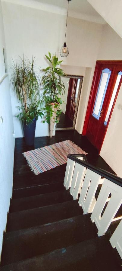 Villa Cvetic Selce Bagian luar foto
